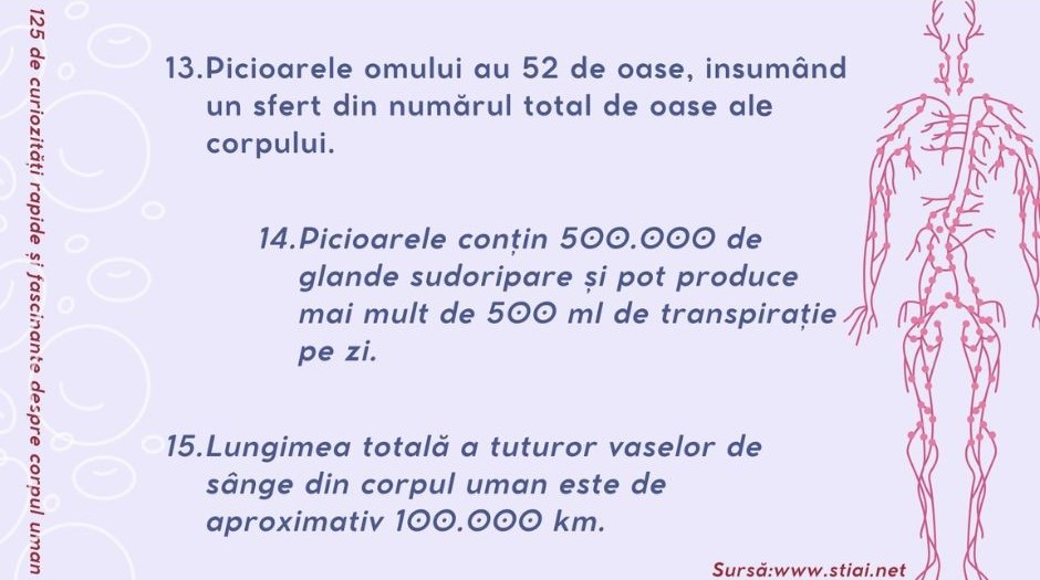 6. 125-de-curiozitati-rapide-si-fascinante-despre-corpul-uman-5